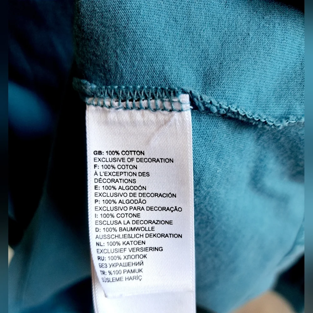 The North Face Long Sleeve Tee in Teal with White Logo